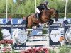 jumper Baloo D (Luxembourg horse, 2010, from Baloubet du Rouet)