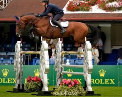 jumper Lambada Shake Ag (Zangersheide riding horse, 2016, from Aganix du Seigneur)