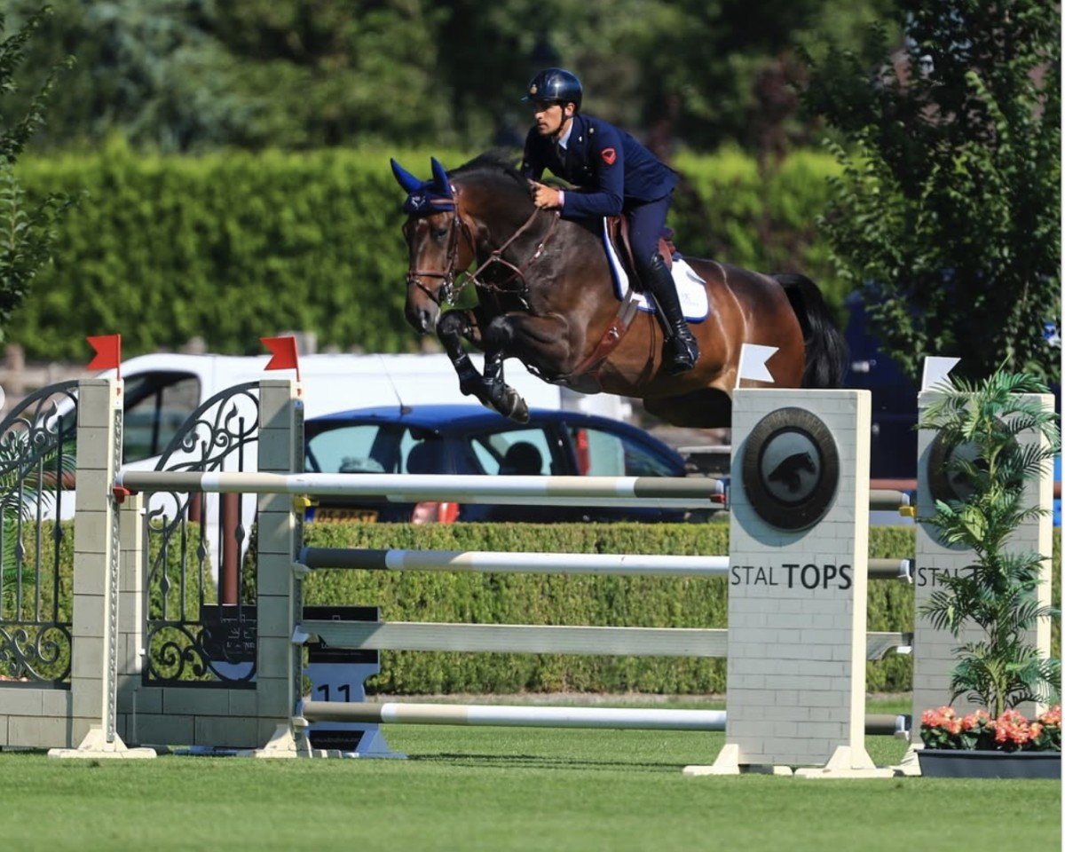 jumper Clarimo van de Dijkhoeve Z (Zangersheide riding horse, 2017, from Comilfo Plus Z)