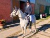 dressage horse Amber 155 (German Riding Pony, 2008, from Nuts)