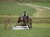 jumper Ben VII (New Forest Pony, 2002, from Anydale Martien)