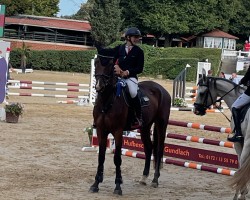 jumper Carlchen M 3 (Hanoverian, 2020, from Cellagon Cascais)