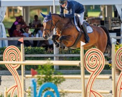 jumper Labelle Es (KWPN (Royal Dutch Sporthorse), 2016, from Mosito van het Hellehof)