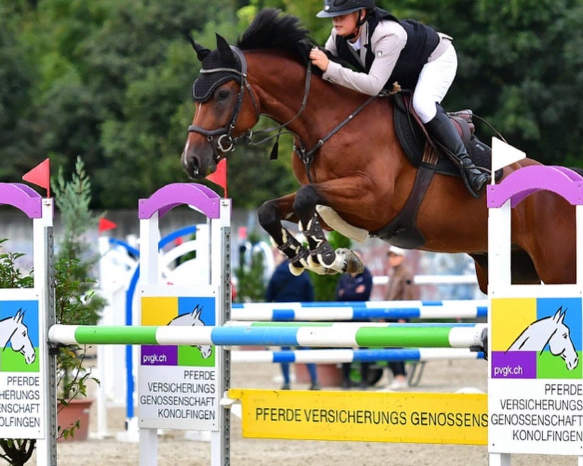 Springpferd Tullibards One And Only (Irish Sport Horse, 2019, von Cormint)