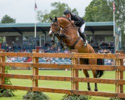 stallion Can Ya Makan (Holsteiner, 2006, from Canturo)