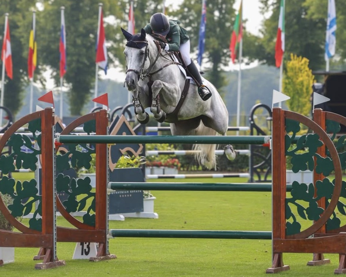 Springpferd Jasmim Da Hermida (unbekannt, 2014, von Milton du Murier)