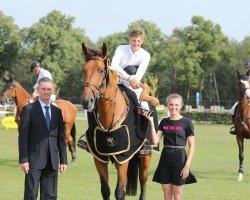 jumper Bp Limitless (Irish Sport Horse, 2015, from Elvis Ter Putte)