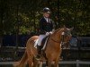 dressage horse Dondoro (German Riding Pony, 2017, from Dulcio 3)