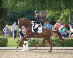 dressage horse Vapiano (Trakehner, 2012, from Kentucky)