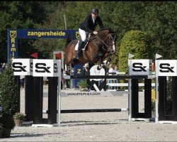 Springpferd Quatre Saisons Dwerse Hagen (Belgisches Warmblut, 2016, von Leandro Vg)