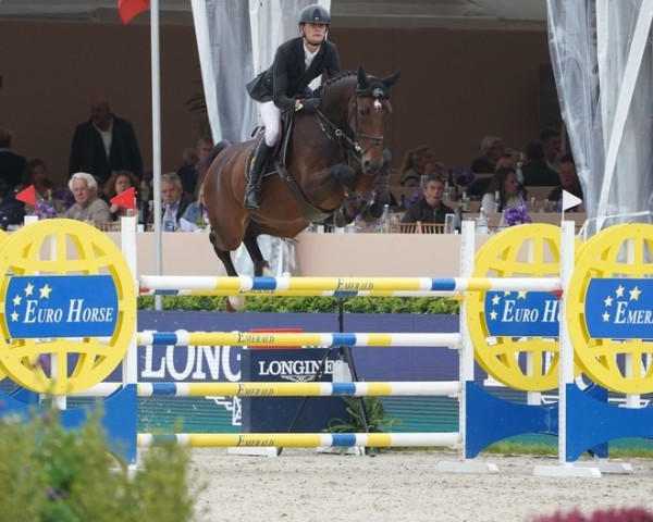 jumper Paulien Dwerse Hagen (Belgian Warmblood, 2015, from Cornet Obolensky)