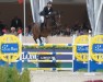 Springpferd Paulien Dwerse Hagen (Belgisches Warmblut, 2015, von Cornet Obolensky)