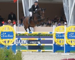 Springpferd Paulien Dwerse Hagen (Belgisches Warmblut, 2015, von Cornet Obolensky)