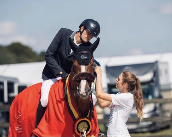 jumper Soory-Linn Vh Netehof (Belgian Warmblood, 2018, from Denzel Vt Meulenhof)