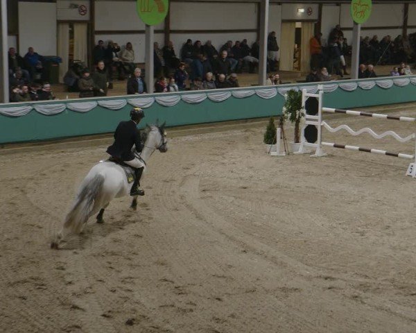 Reitturnier Gahlen 2025