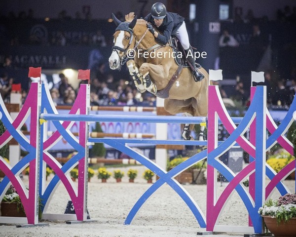 jumper Legend (Belgian Warmblood, 2011, from Ogano Sitte)