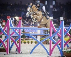 Springpferd Legend (Belgisches Warmblut, 2011, von Ogano Sitte)