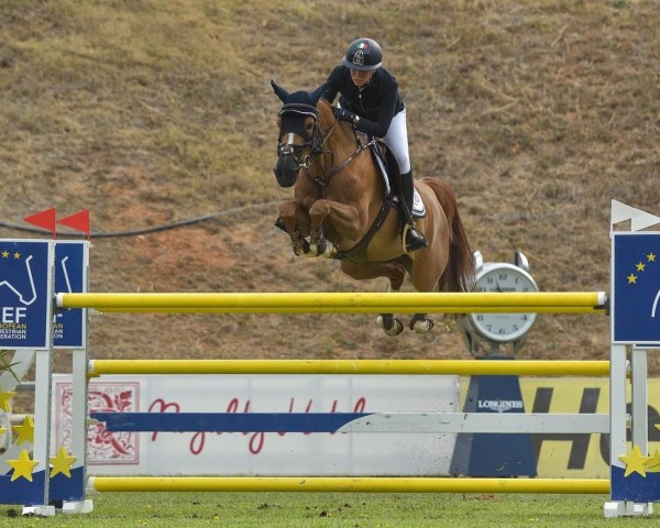 jumper Kindesth (KWPN (Royal Dutch Sporthorse), 2015, from Vagabond de la Pomme)