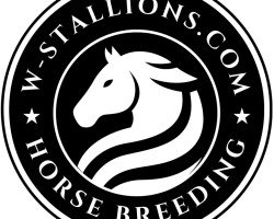 W-Stallion