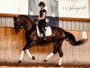 dressage horse Skywalker 95 (Hanoverian, 2015, from San Amour I)