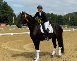 dressage horse Daimjenka (Hannoveraner, 2013, from Don Index)