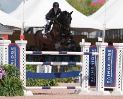 jumper Deauville van Overis Z (Zangersheide riding horse, 2009, from Darco)