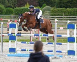 jumper Leonidas 135 (Hanoverian, 2011, from Lamberk)