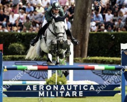 jumper Clitschko 17 (Hanoverian, 2013, from Christian 25)