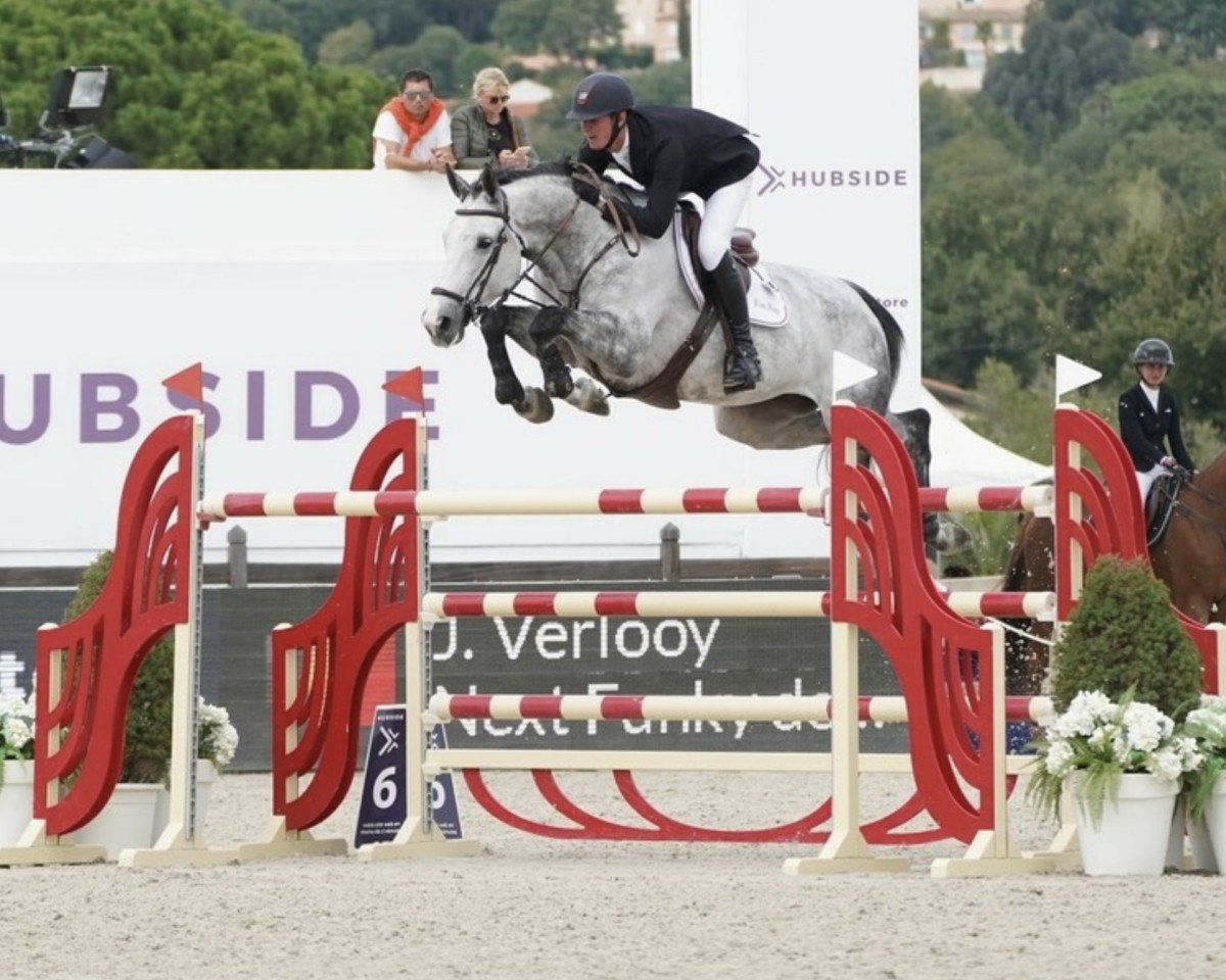 Springpferd Next Funky de Muze (Belgisches Warmblut, 2013, von Elvis Ter Putte)