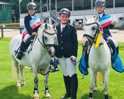 horse Cefnfedw Supreme (Welsh mountain pony (SEK.A), 2013, from Penboeth Full-Stop)