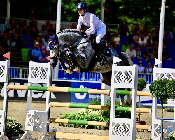 jumper Palina R (German Sport Horse, 2018, from Diacontinus)