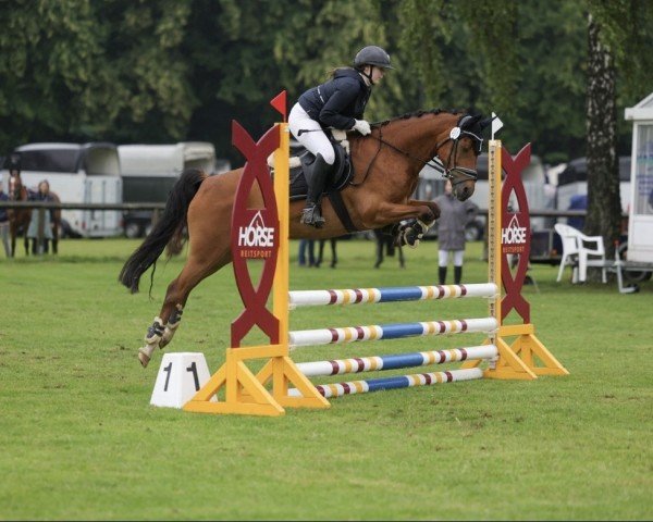 dressage horse River's flying steps AS (German Riding Pony, 2017, from PrH Riverdance)