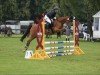 dressage horse River's flying steps AS (German Riding Pony, 2017, from PrH Riverdance)