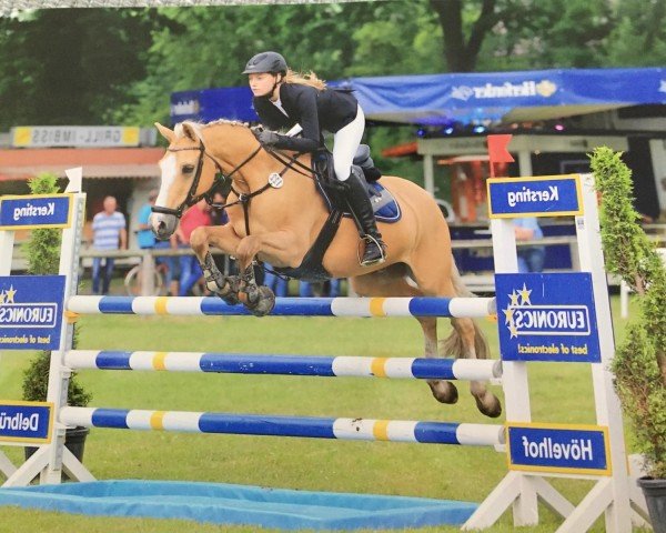 jumper Carlsson 55 (German Riding Pony, 2007, from FS Champion de Luxe)