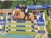 jumper Carlsson 55 (German Riding Pony, 2007, from FS Champion de Luxe)