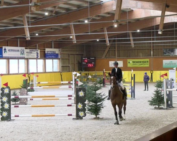 Reitturnier Dielsdorf 2025