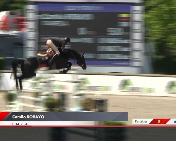 jumper Chabela (Hanoverian, 2014, from Chacco-Blue)