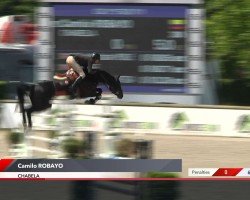 jumper Chabela (Hanoverian, 2014, from Chacco-Blue)