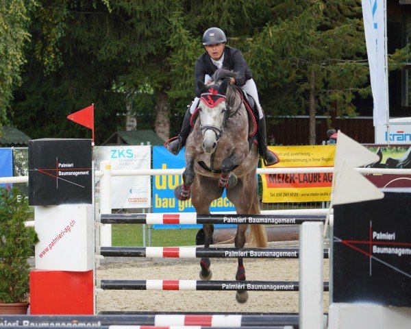 jumper Squirrel Girl (Oldenburg show jumper, 2018, from Stakkatol)