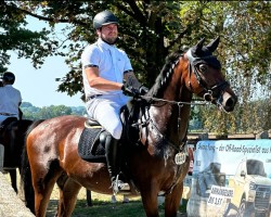 broodmare Butterfly Flip 5 (Holsteiner, 2014, from Baracuda 4)