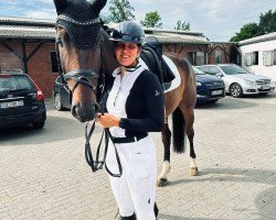 jumper Surprise 295 (Hanoverian, 2019, from Skyliner 5)