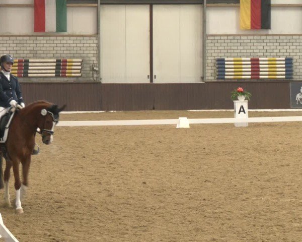 Reitturnier Bottrop-Kirchhellen 2025