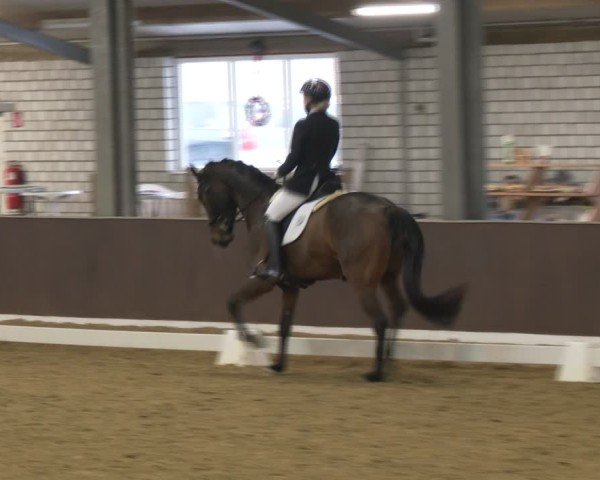 Reitturnier Bottrop-Kirchhellen 2025