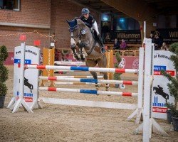 jumper Nobody Cool (German Sport Horse, 2016, from Naldo 29)