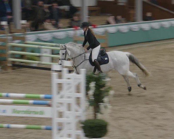 Reitturnier Gahlen 2025