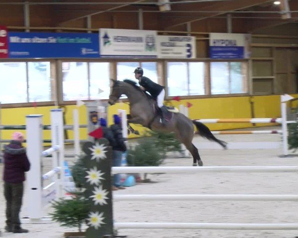 Reitturnier Dielsdorf 2025