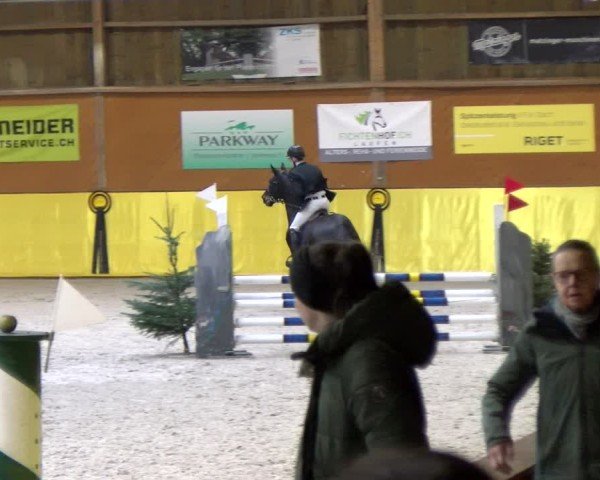 Reitturnier Dielsdorf 2025