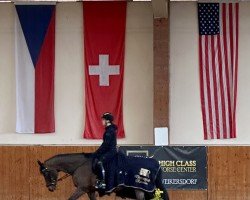 dressage horse John F. Kennedy (Oldenburg, 2012, from Glock's Johnson Tn)