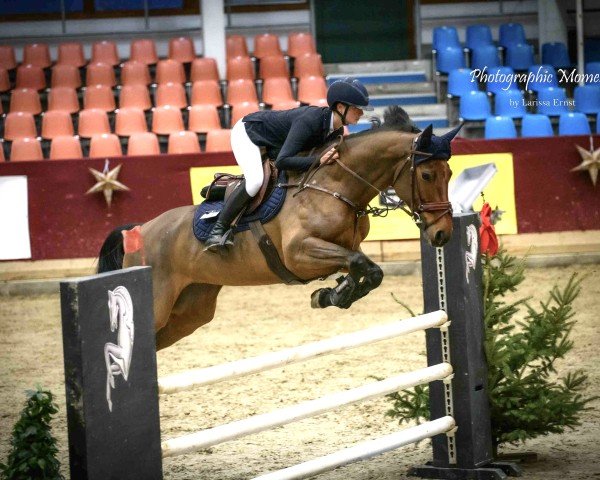 jumper Casallcia (Hanoverian, 2017, from Casallco)