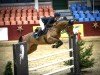 jumper Casallcia (Hanoverian, 2017, from Casallco)